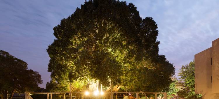 尼亚人民度假村(NEA Resort & People)图片