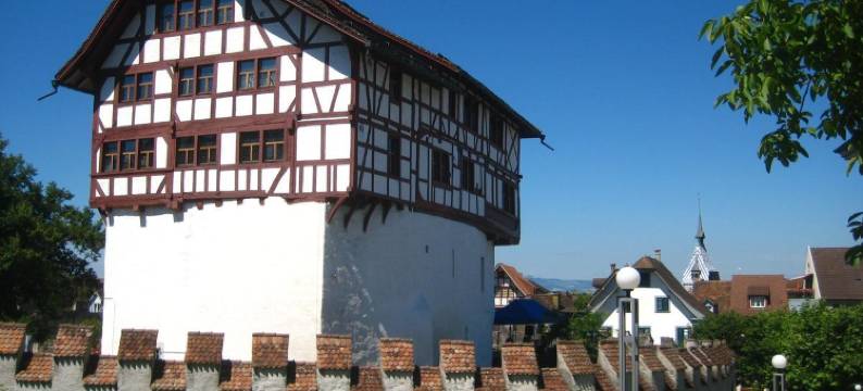 奥宸城市酒店(City-Hotel Ochsen)图片