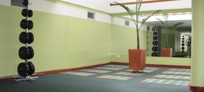 文森特套房公寓式酒店(Apartahotel Vincent Suites)图片