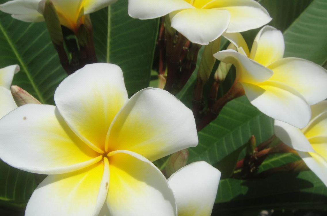 Reaksmey Krong Kep Guesthouse Hotel Reviews And Room Rates - 