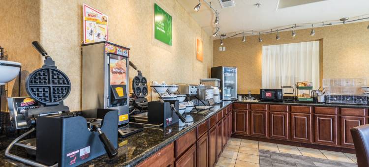 舒适套房(Comfort Inn & Suites)图片