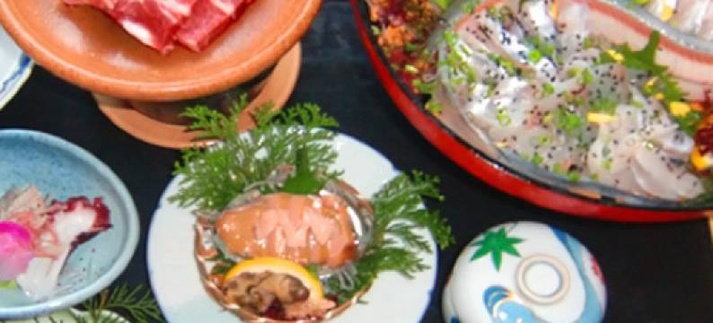 熊本日奈久温泉 潮青閣(Hinagu Onsen Choseikaku)图片