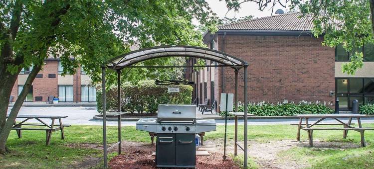 锡姆科舒适酒店(Comfort Inn)图片