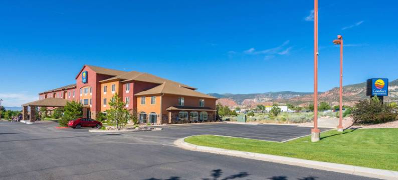 舒适套房(Comfort Inn & Suites)图片