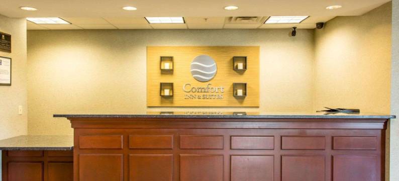 麦迪逊维尔舒适酒店及套房(Comfort Inn and Suites)图片