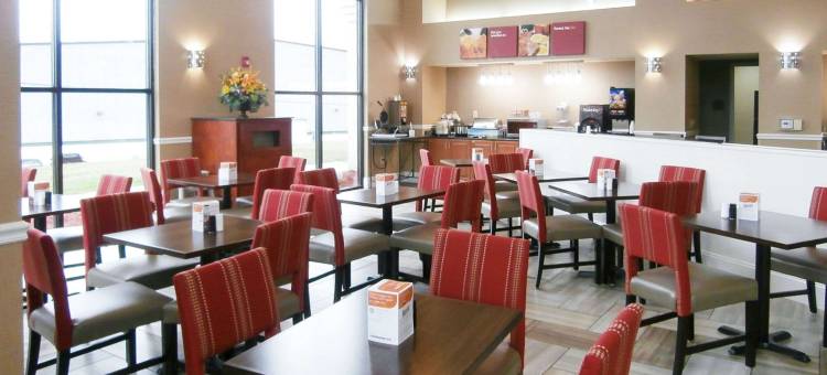 舒适套房酒店(Comfort Suites Smyrna)图片