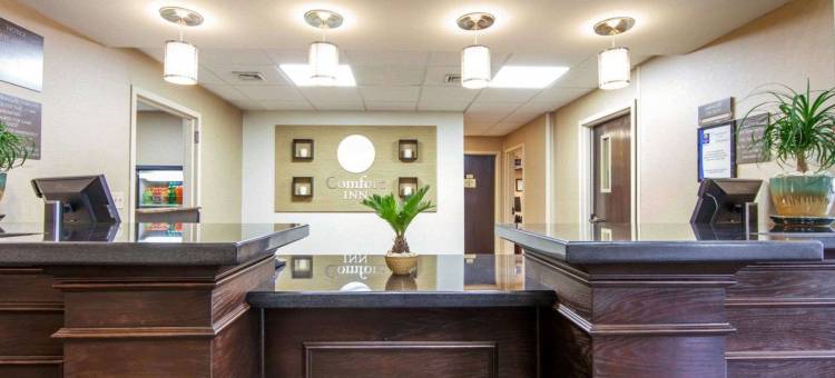 皇家之蓝舒适酒店(Comfort Inn at Royal Blue)图片