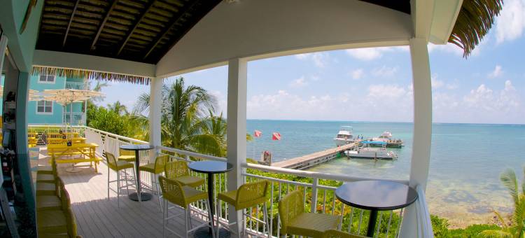 康帕斯波因特潜水度假酒店(Compass Point Dive Resort)图片