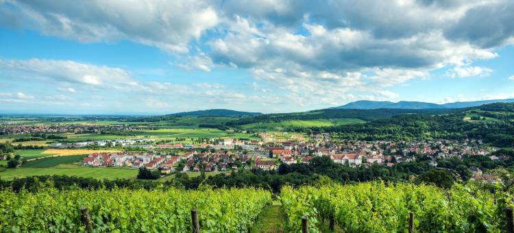 Comfort Aparthotel Mutzig Portes d'Alsace图片