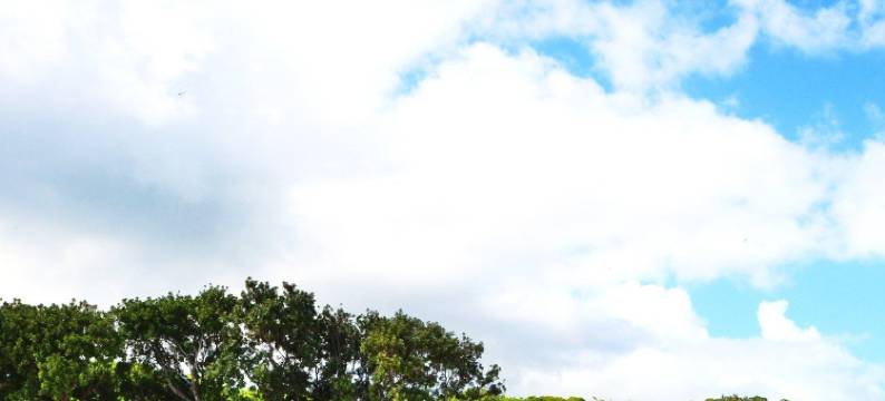 屏东白沙31民宿图片