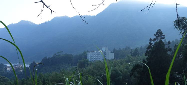 南投溪头孟宗山庄大饭店图片