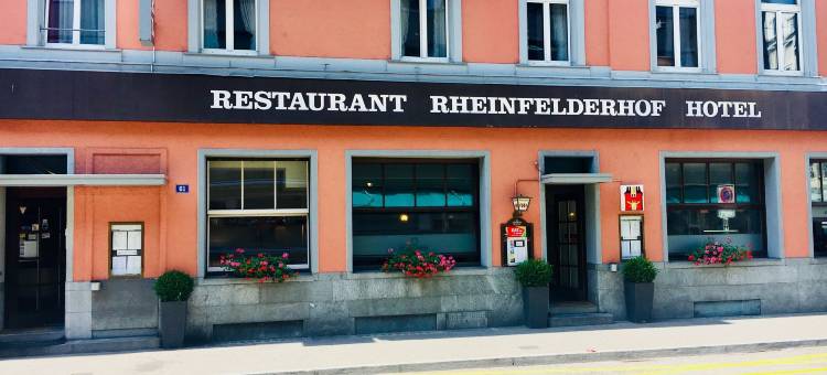 莱茵霍夫酒店(Hotel Rheinfelderhof)图片