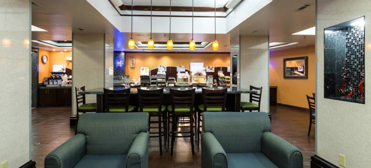 智选假日套房酒店海恩斯维尔(Holiday Inn Express & Suites Hinesville East - Fort Stewart)图片