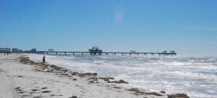 智选假日酒店及套房-克利尔沃特US19北-洲际酒店集团旗下(Holiday Inn Express & Suites Clearwater/US 19 N)图片