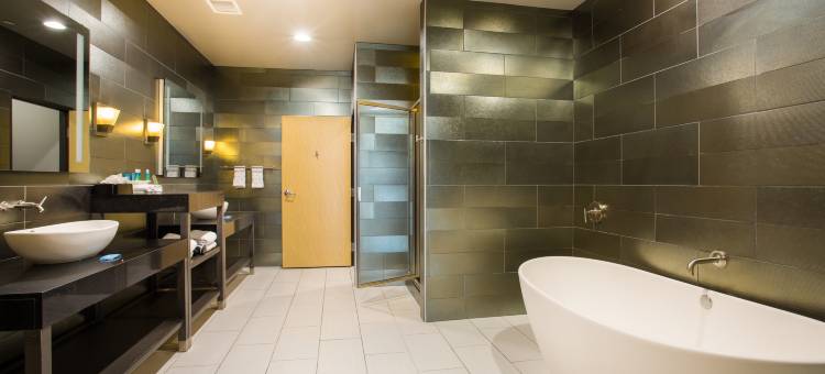 智选假日套房酒店阿马里洛(西)(Holiday Inn Express & Suites Amarillo West)图片