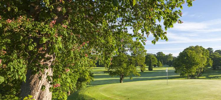 布雷德肖小修道院乡村俱乐部万豪德尔塔酒店(Delta Hotels Breadsall Priory Country Club)图片