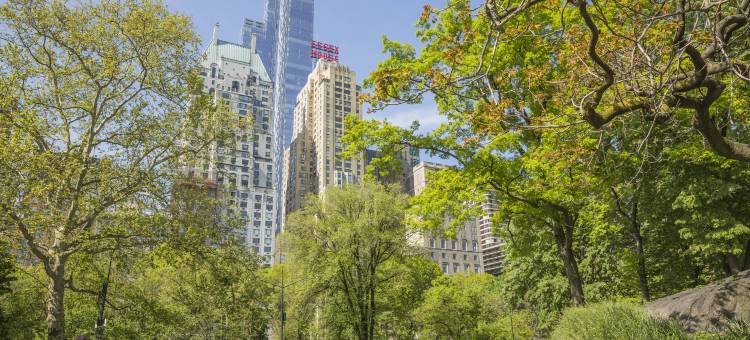 纽约艾塞克斯豪斯JW 万豪酒店(JW Marriott Essex House New York)图片