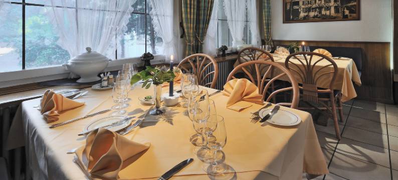 林德斯泰莱赛米娜酒店(Seminarhotel Linde Stettlen)图片