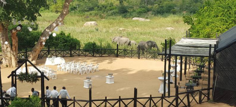 克鲁格大门万豪普罗蒂酒店(Kruger Gate Hotel)图片