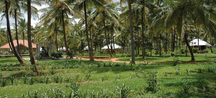 什莱亚斯瑜伽精修酒店(Shreyas Retreat)图片