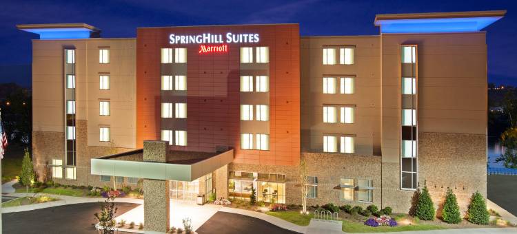 查塔努加市中心/卡梅隆港万豪SpringHill酒店(SpringHill Suites Chattanooga Downtown/Cameron Harbor)图片
