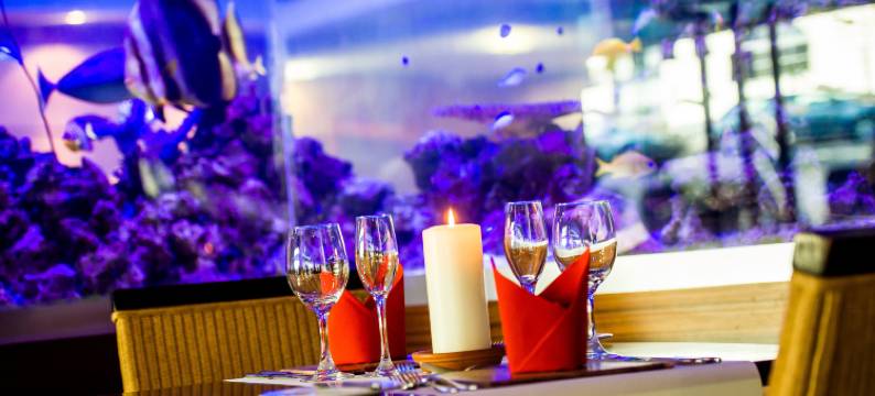 莱诺酒店(The Liner at Liverpool)图片