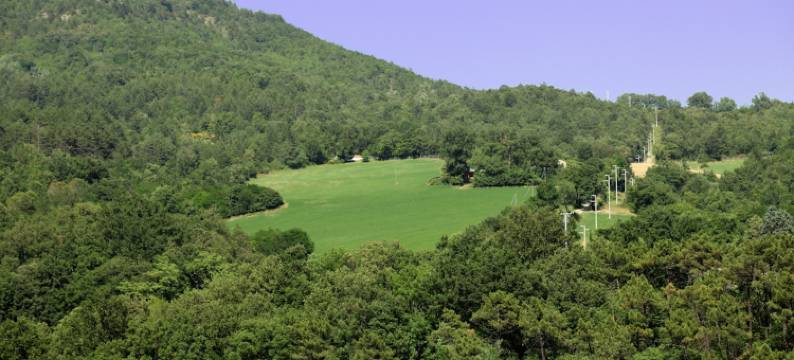 欧洲酒店(Euro Hotel)图片