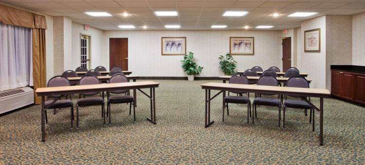 Holiday Inn Express & Suites Buford-Mall of GA图片