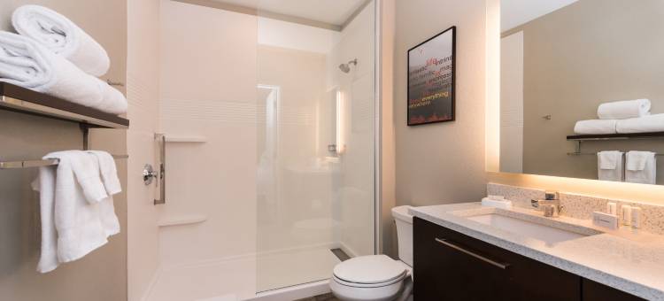 底特律坎顿TownePlace套房酒店(TownePlace Suites Detroit Canton)图片