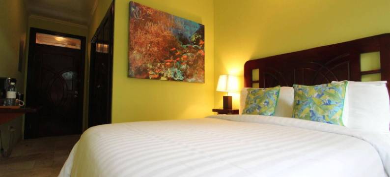 皇家棕榈酒店(Hotel Palma Royale)图片