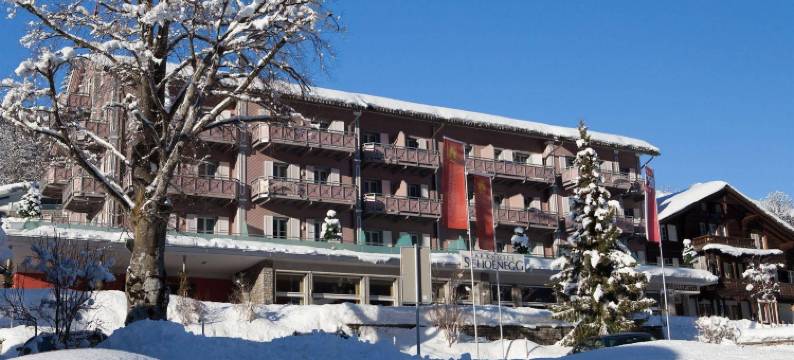 斯昆内格公园酒店(Parkhotel Schoenegg)图片