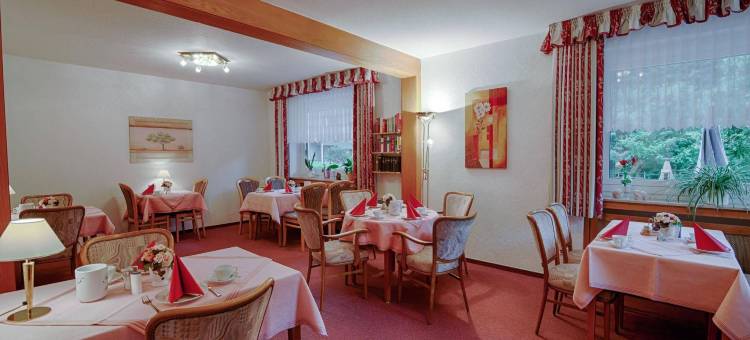 哈茨酒店艾瑞斯(Harz Hotel Iris)图片