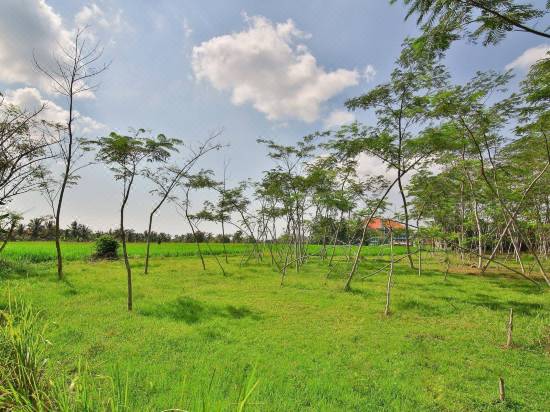 Taman Harum Cottages Hotel Reviews And Room Rates Trip Com