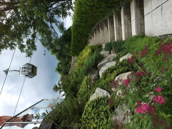 Haus Ashling Hotel Reviews And Room Rates Trip Com