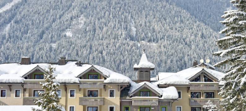 皮埃尔高级酒店(Résidence Pierre & Vacances Premium la Ginabelle)图片