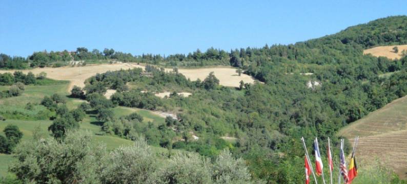 美利迪亚纳酒店(Hotel la Meridiana)图片