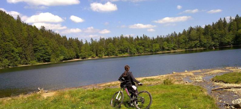 乔斯塔尔斯图布尔乡村酒店及餐厅(Landgasthof Jostalstüble)图片