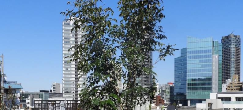 六本木Act酒店(Act Hotel Roppongi)图片