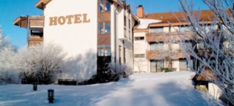 露伊瑟沃德酒店(Waldhotel Luise)图片