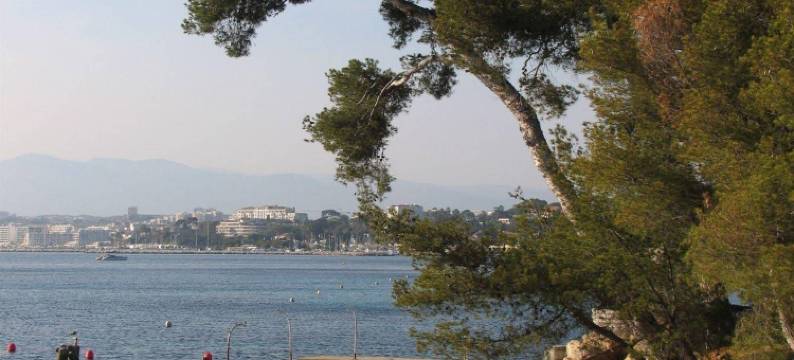 币奥酒店 - 安提伯海角(Hôtel Beau Site - Cap d'Antibes)图片