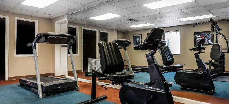 宾厄姆顿维斯塔尔凯艺套房酒店(Quality Inn & Suites Binghamton Vestal)图片