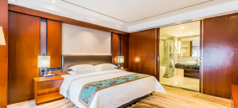 鼎盛云天酒店(湛江鼎盛广场店)图片