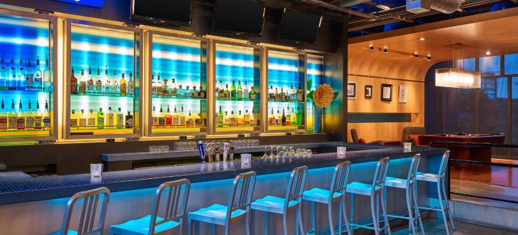 弗赖拉辛雅乐轩酒店(Aloft Frisco)图片