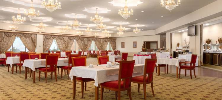 让斯温德姆华美达广场酒店(Ramada Plaza by Wyndham Gence)图片