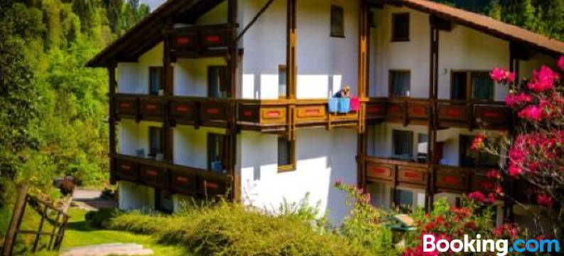 豪兹舒赫舒瓦尔德酒店(Holzschuhs Schwarzwaldhotel)图片