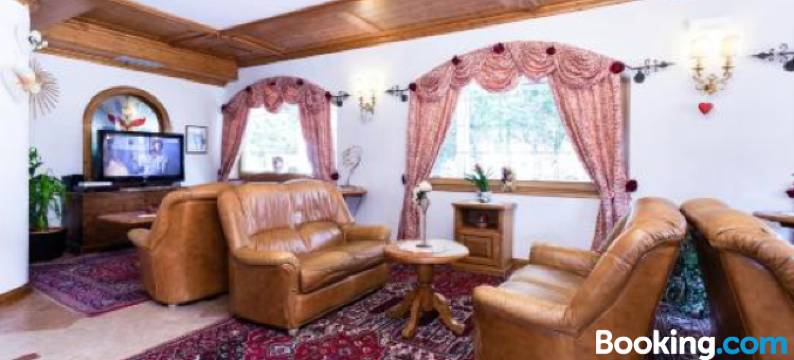 维也纳酒店(Hotel Vienna)图片