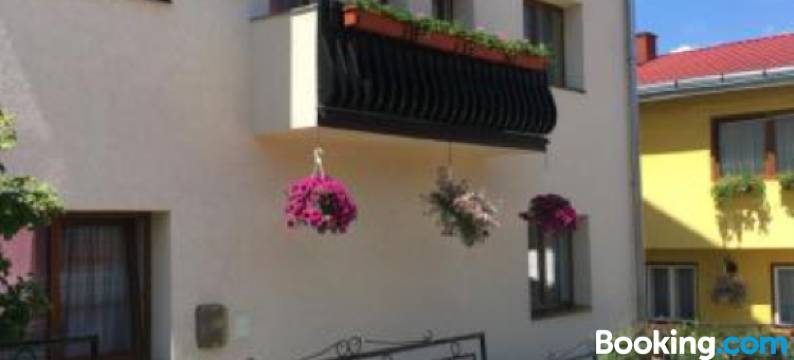 Pensiunea Alecsandra图片