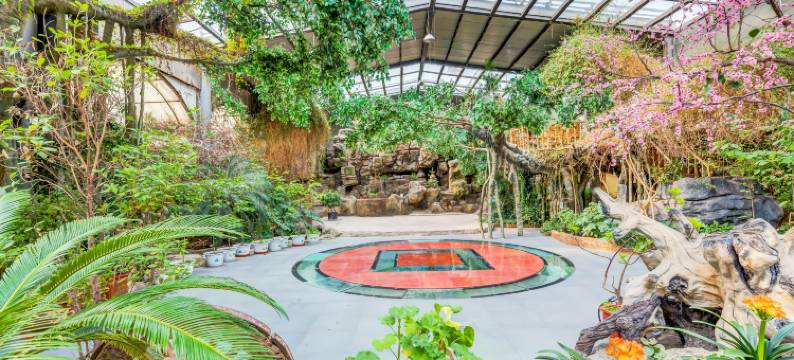 伊春梅花河山庄图片