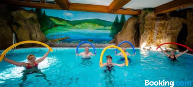 豪兹舒赫舒瓦尔德酒店(Holzschuhs Schwarzwaldhotel)图片