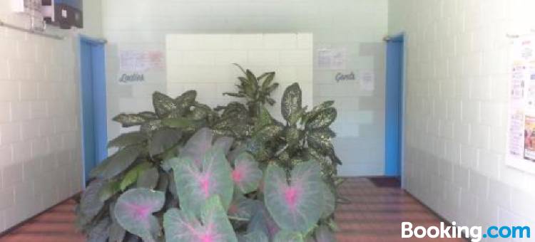 飞行鱼点旅游假日公园(Flying Fish Point Tourist Park)图片